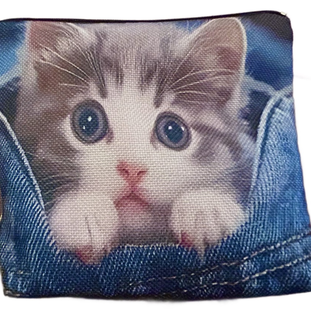 Cat Lovers! Grey & White Kitten w/ Blue Eyes sitting in Jeans Pocket!!